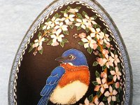 WIP Bluebird Pysanka Pysanky Ukrainian Easter Egg by So Jeo : pysanky pysanka bluebird bird apple tree majic carpet fabric acid dye dyes wax beeswax kistka kistky blossom ukrainian easter egg batik art sojeo florals flowers birds stars trees vines blooms buds bluebird owl art sojeo so jeo eggshell egg shell blown decoration ivy garden rainbow rosie posy nightshad victorian trees etched brown chicken eggs turkey